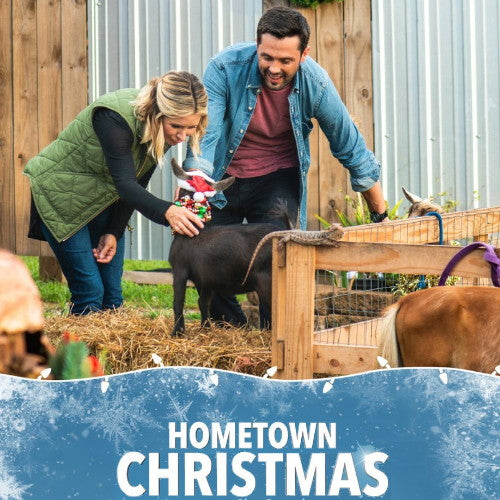 HOMETOWN CHRISTMAS DVD LIFETIME MOVIE 2018 TheTv Movies