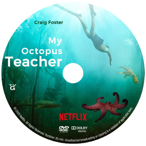 MY OCTOPUS TEACHER DVD 2020 NETFLIX DOCUMENTARY FILM